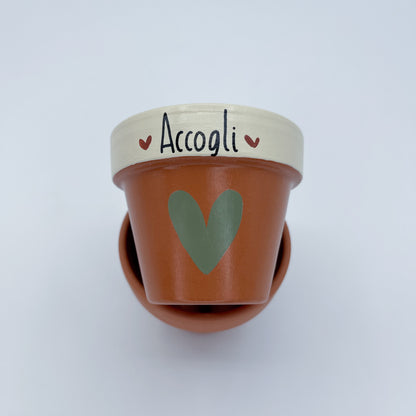 Accogli